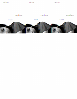 _OceanofPDF.com_Swallow_-_Sefi_Atta.pdf